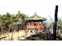 금오서원 녹색길 조성공사